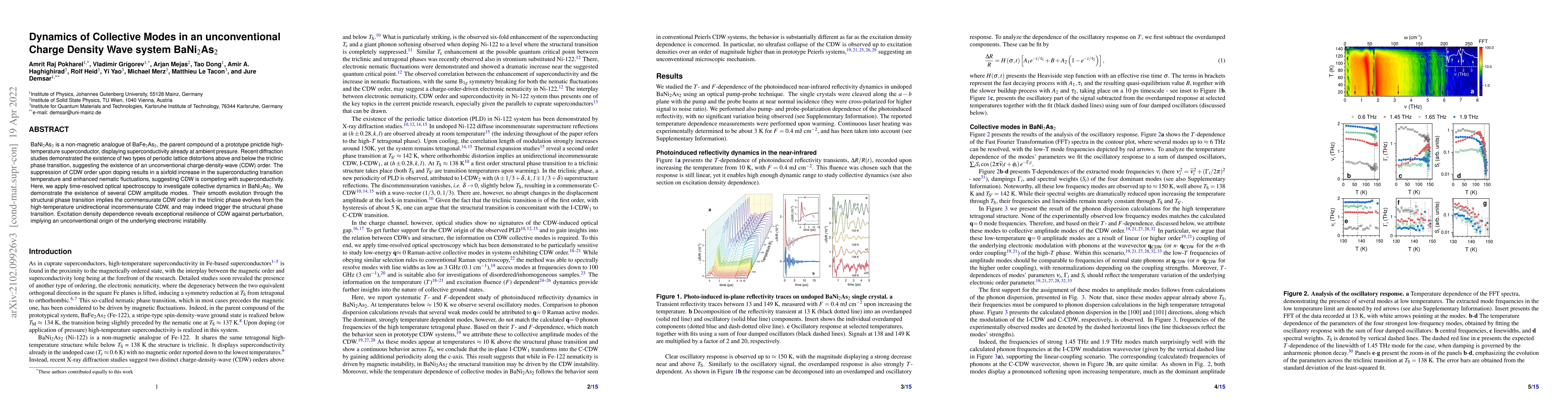 Thumbnail for Dynamics of Collective Modes in an unconventional Charge Density Wave
  system BaNi$_{2}$As$_{2}$
