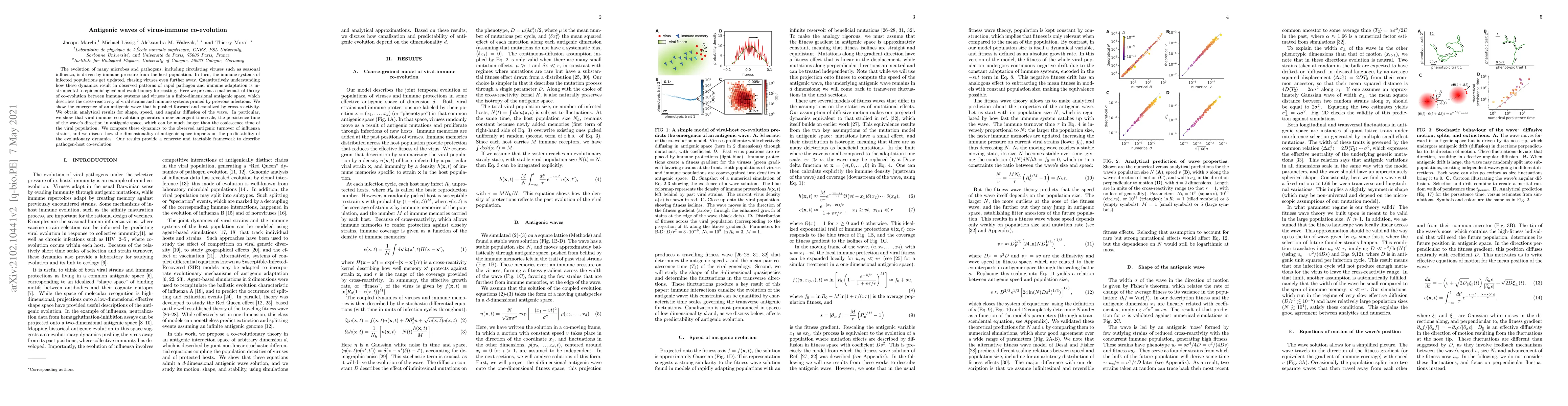 Thumbnail for Antigenic waves of virus-immune co-evolution