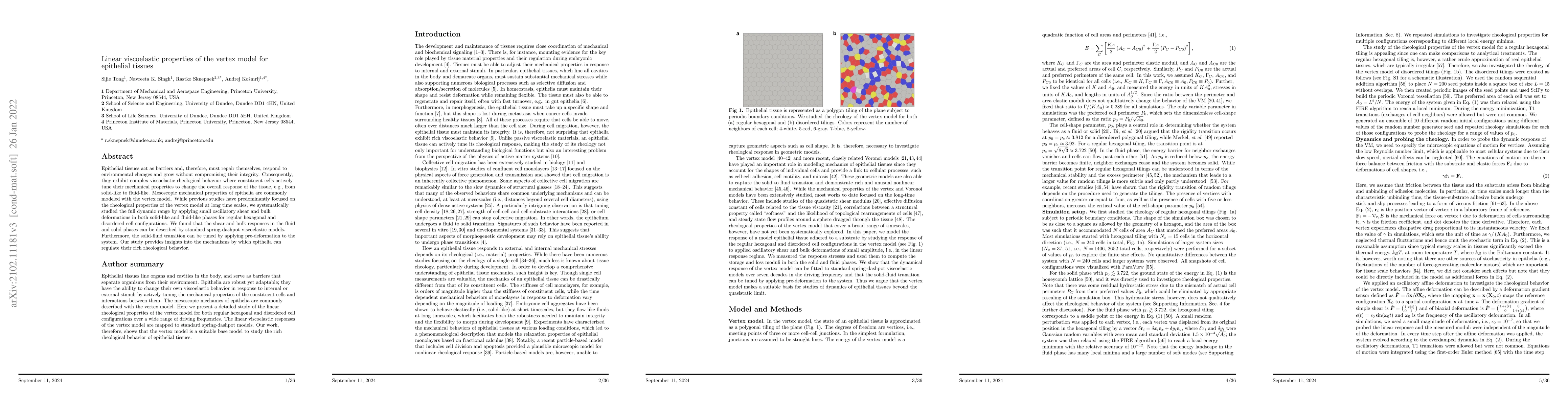 Thumbnail for Linear Viscoelastic Properties of the Vertex Model for Epithelial
  Tissues