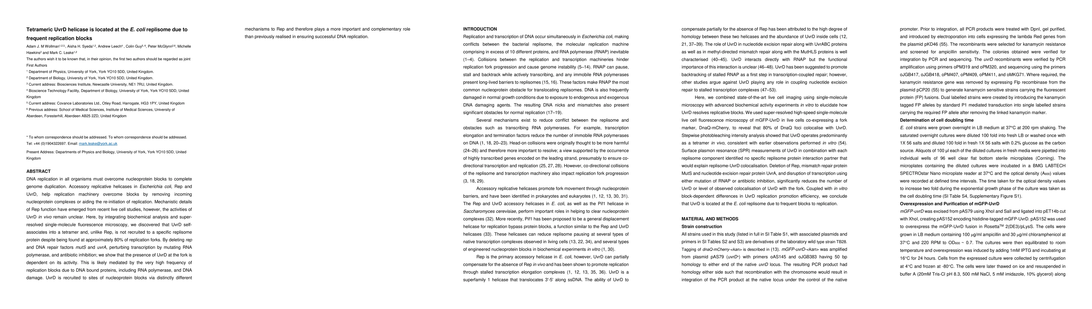 Thumbnail for Tetrameric UvrD helicase is located at the E. coli replisome due to
  frequent replication blocks