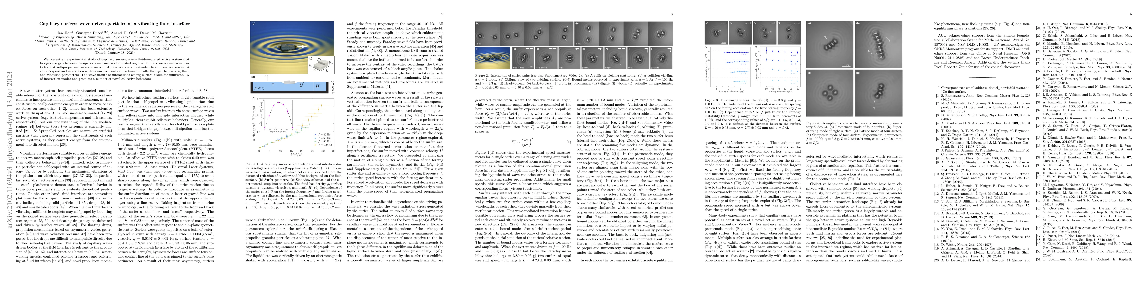Thumbnail for Capillary surfers: wave-driven particles at a vibrating fluid interface