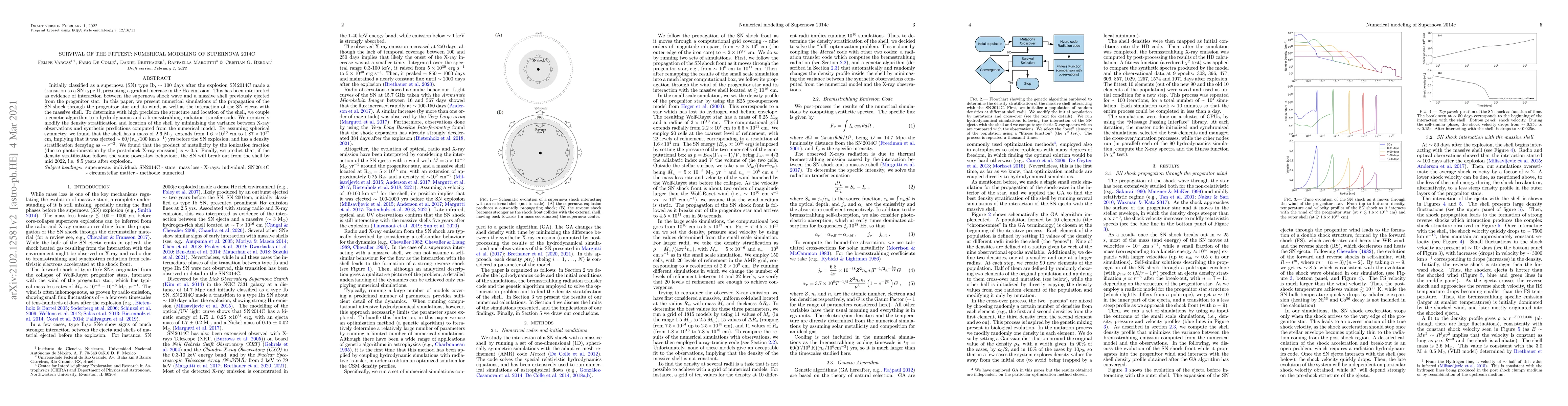 Thumbnail for Survival of the Fittest: Numerical Modeling of Supernova 2014C