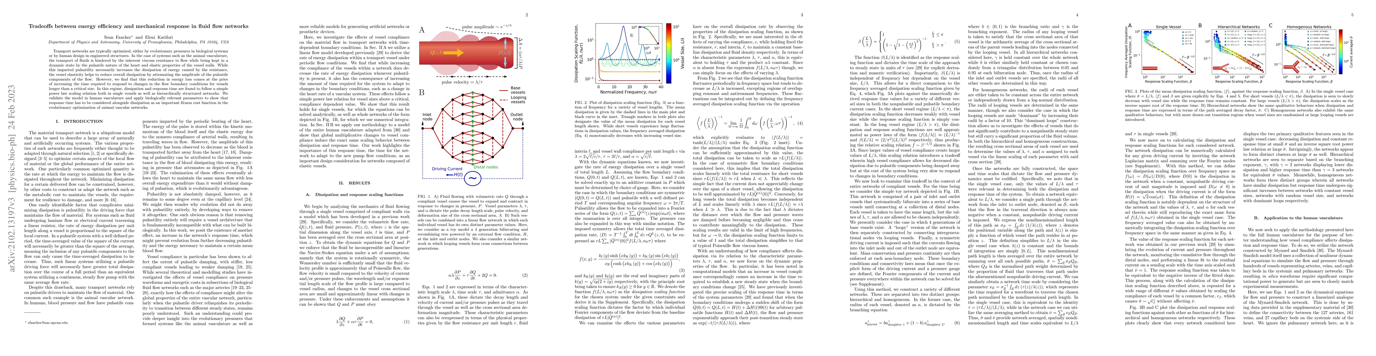 Thumbnail for Tradeoffs between energy efficiency and mechanical response in fluid
  flow networks