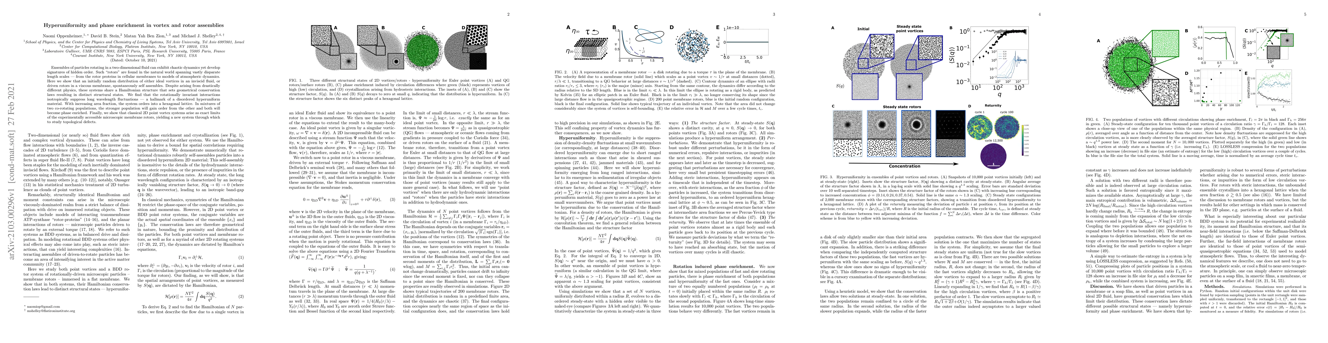 Thumbnail for Hyperuniformity and phase enrichment in vortex and rotor assemblies
