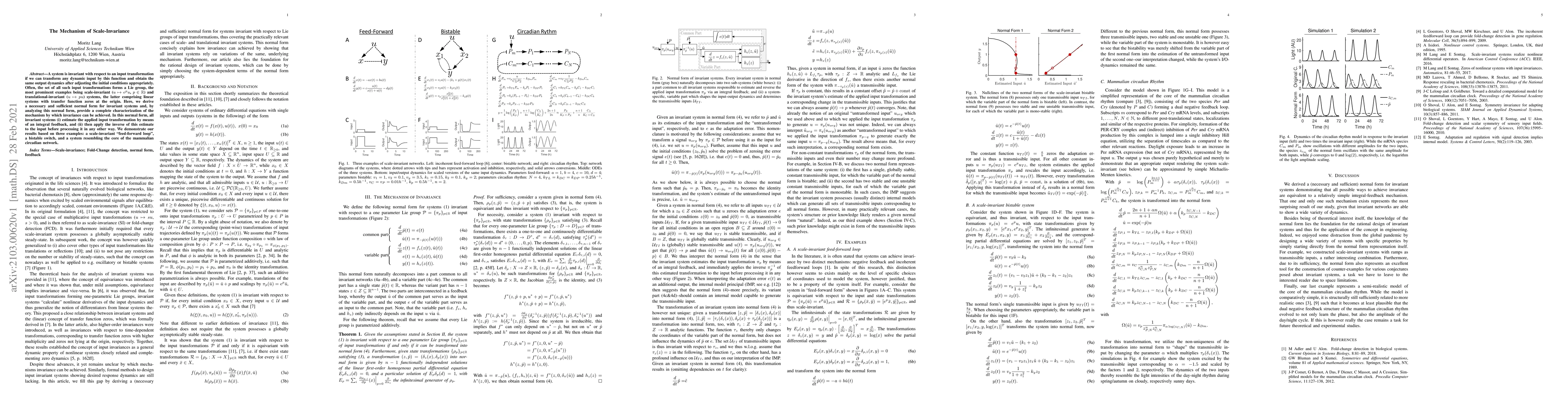 Thumbnail for The Mechanism of Scale-Invariance