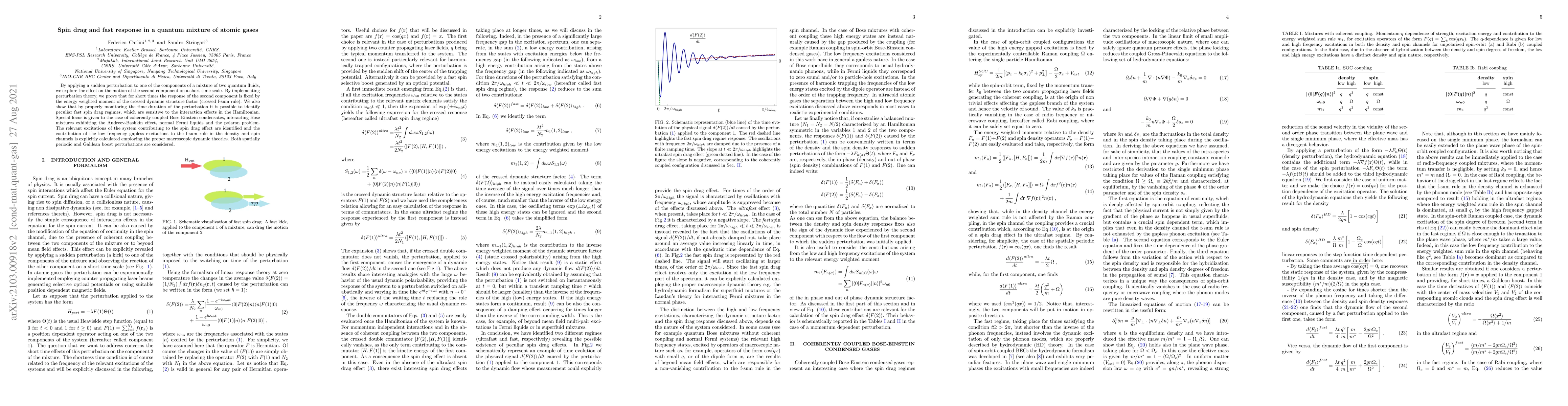 Thumbnail for Spin drag and fast response in a quantum mixture of atomic gases