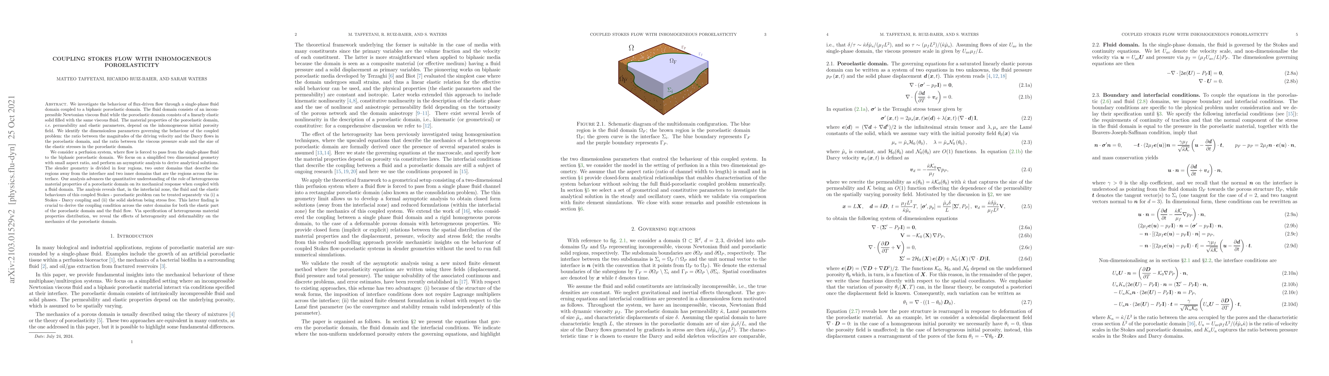Thumbnail for Coupling Stokes flow with inhomogeneous poroelasticity