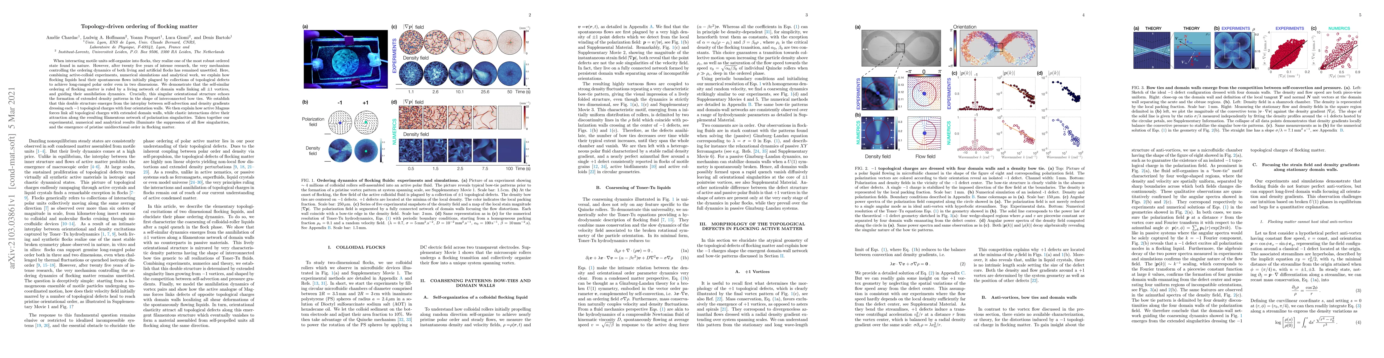 Thumbnail for Topology-driven ordering of flocking matter