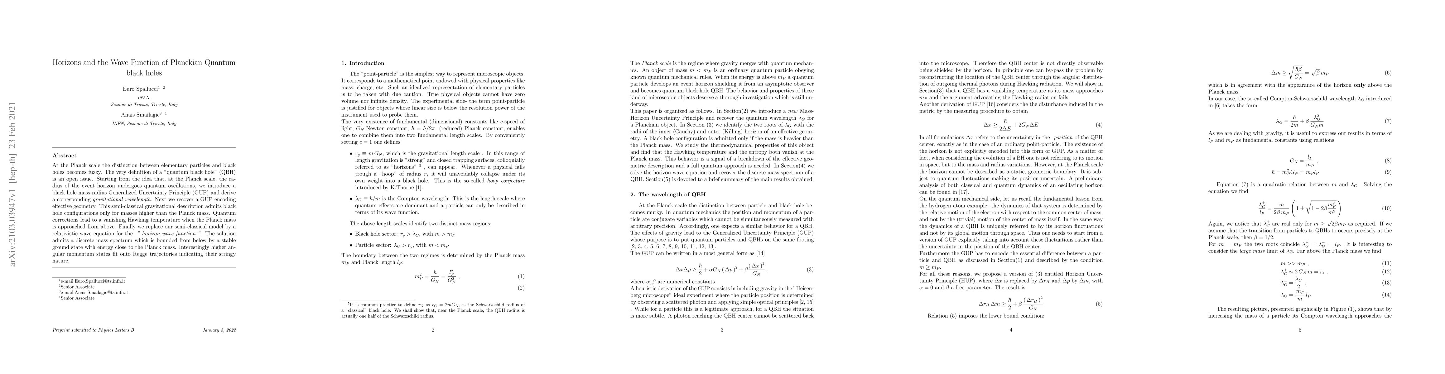 Thumbnail for Horizons and the Wave Function of Planckian Quantum black holes