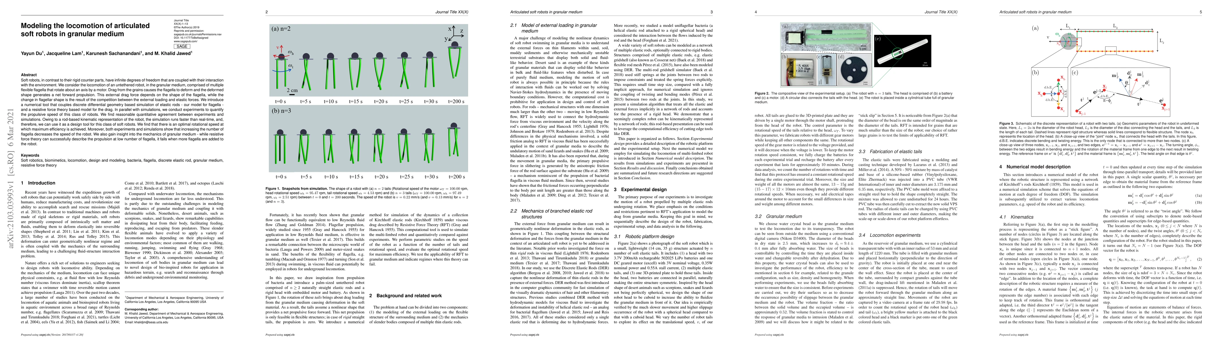 Thumbnail for Modeling the locomotion of articulated soft robots in granular medium
