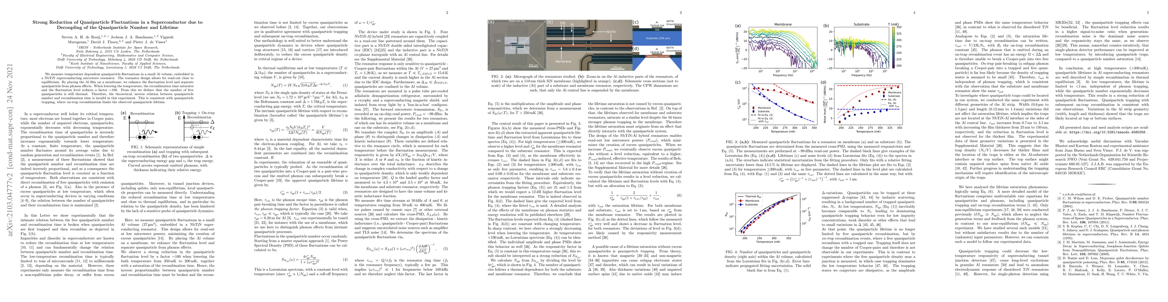 Thumbnail for Strong Reduction of Quasiparticle Fluctuations in a Superconductor due
  to Decoupling of the Quasiparticle Number and Lifetime