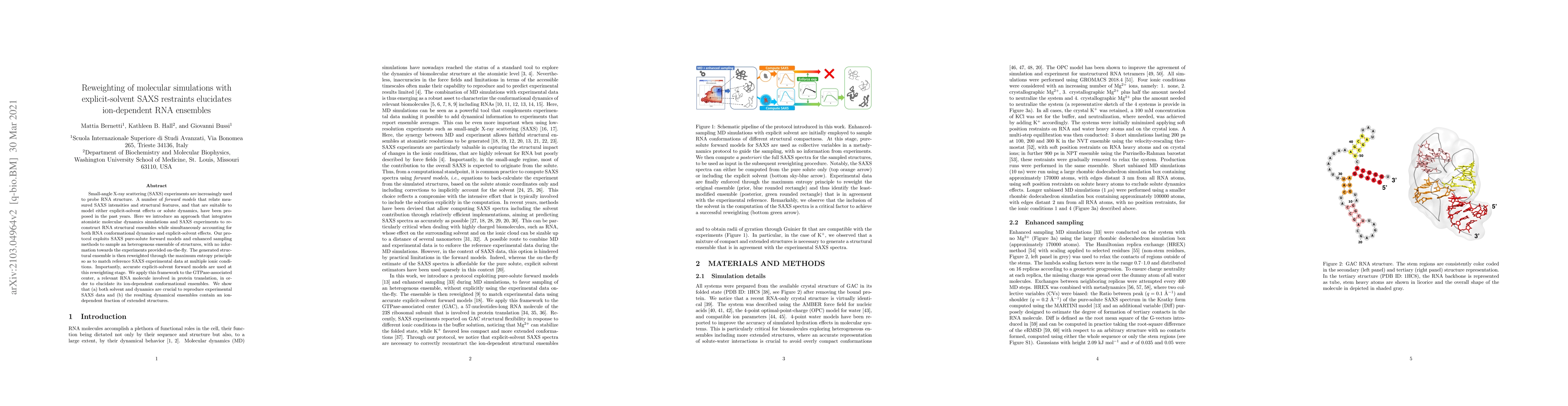 Thumbnail for Reweighting of molecular simulations with explicit-solvent SAXS
  restraints elucidates ion-dependent RNA ensembles