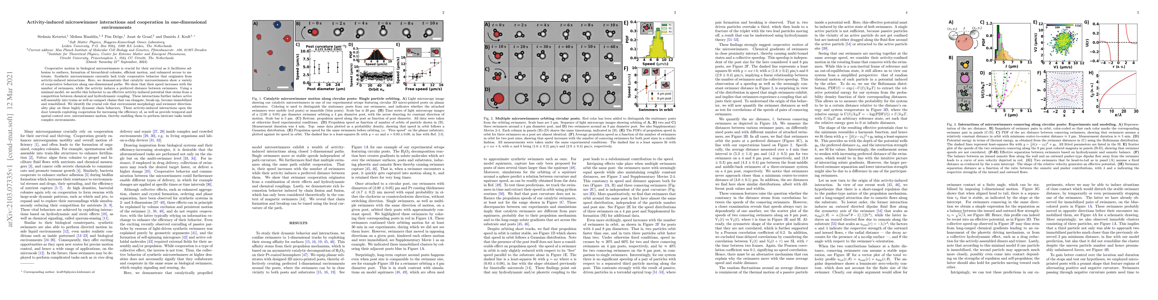 Thumbnail for Activity-induced microswimmer interactions and cooperation in
  one-dimensional environments