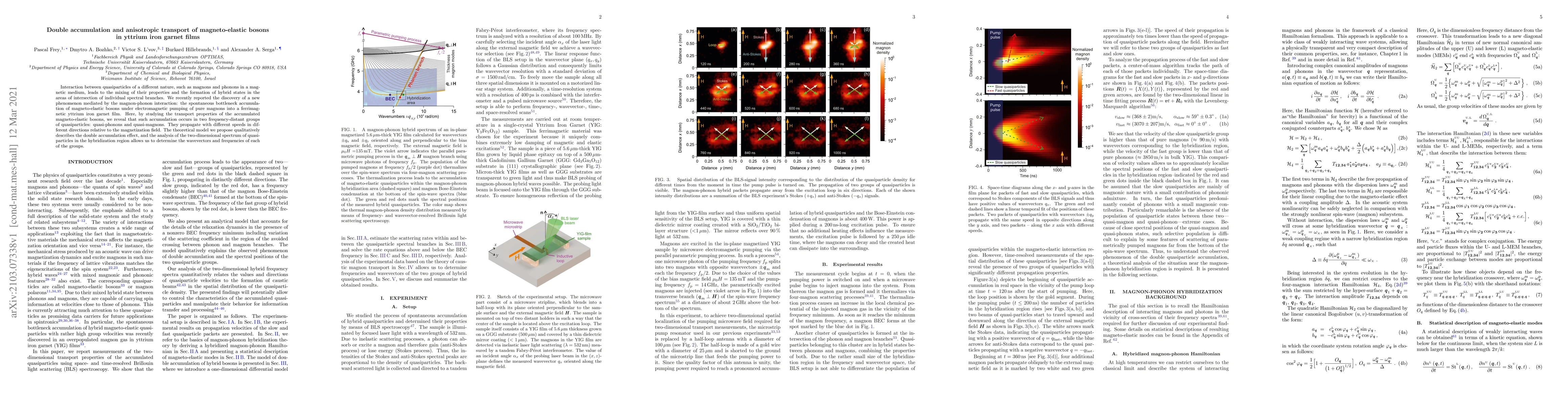 Thumbnail for Double accumulation and anisotropic transport of magneto-elastic bosons
  in yttrium iron garnet films
