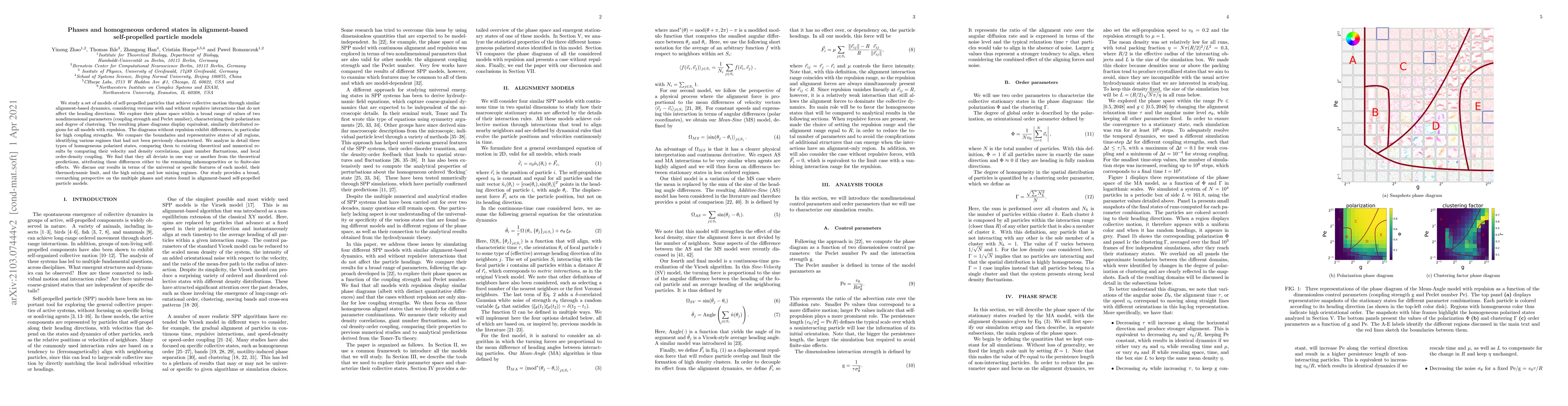 Thumbnail for Phases and homogeneous ordered states in alignment-based self-propelled
  particle models