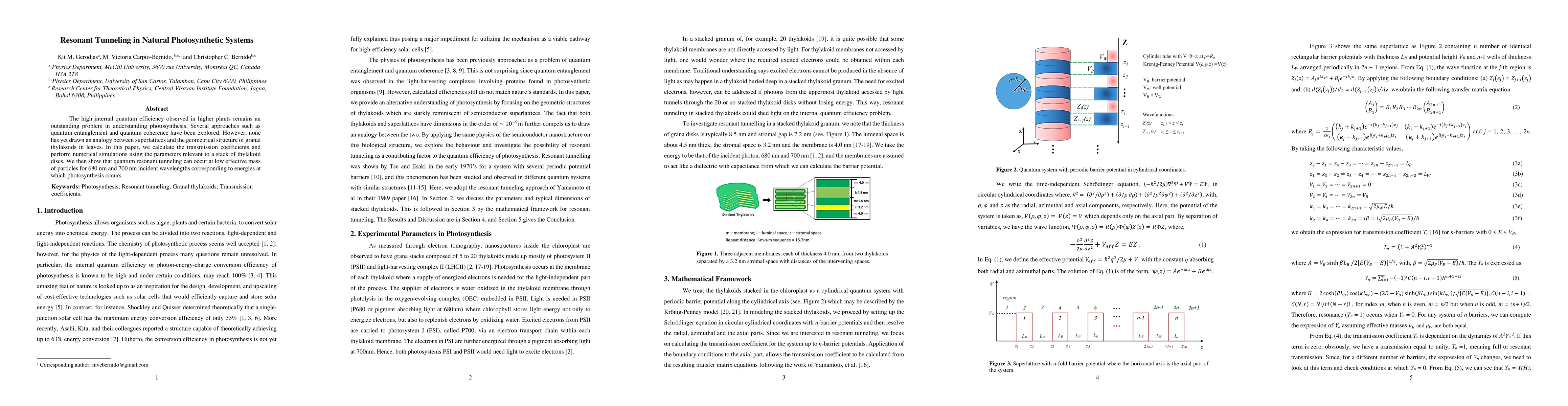 Thumbnail for Resonant Tunneling in Natural Photosynthetic Systems