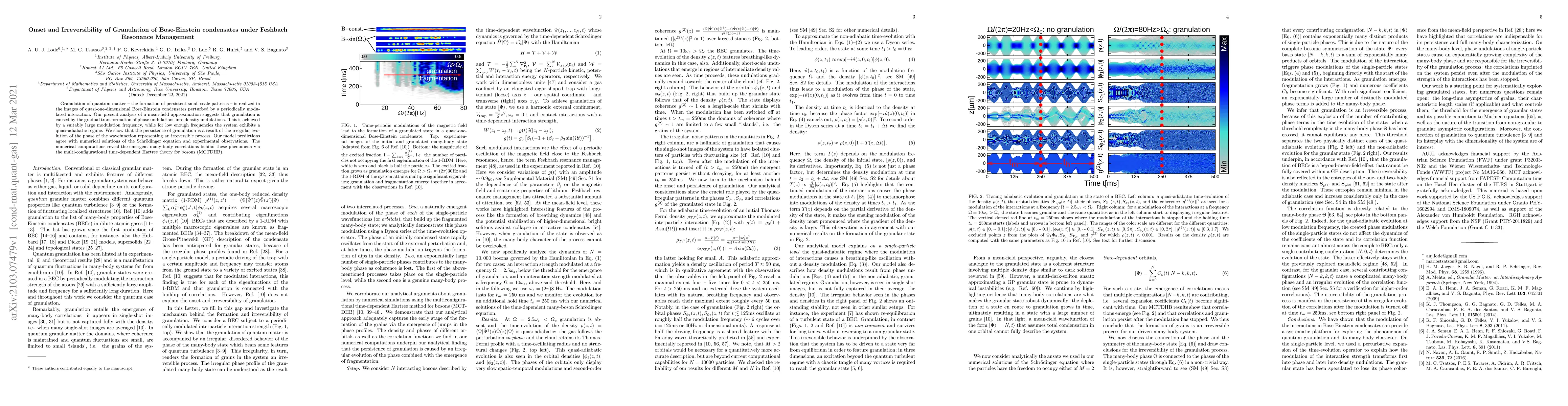 Thumbnail for Onset and Irreversibility of Granulation of Bose-Einstein condensates
  under Feshbach Resonance Management