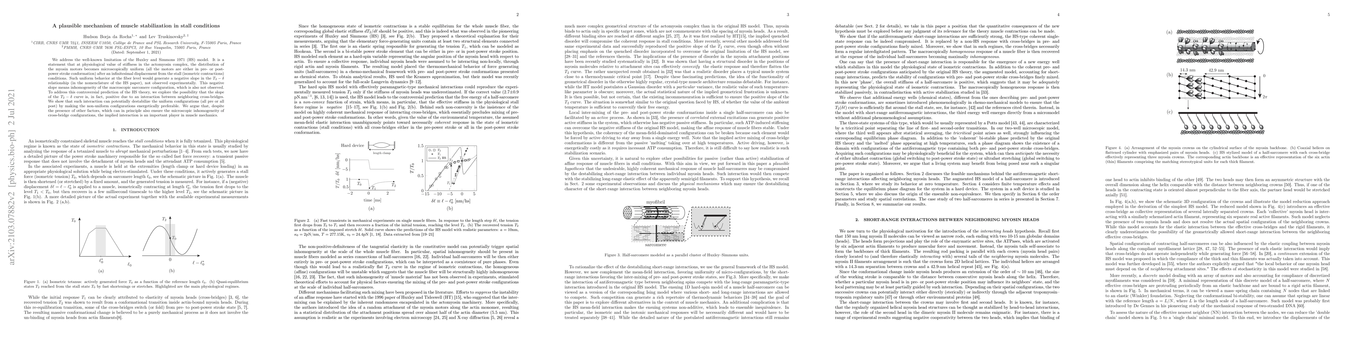 Thumbnail for A plausible mechanism of muscle stabilization in stall conditions