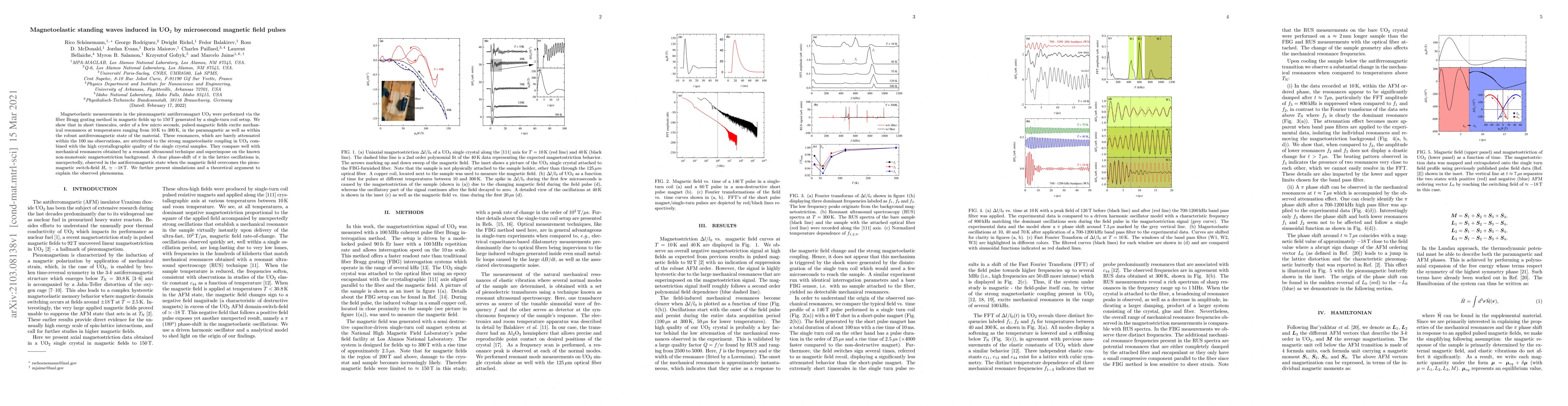 Thumbnail for Magnetoelastic standing waves induced in UO$_{2}$ by microsecond
  magnetic field pulses