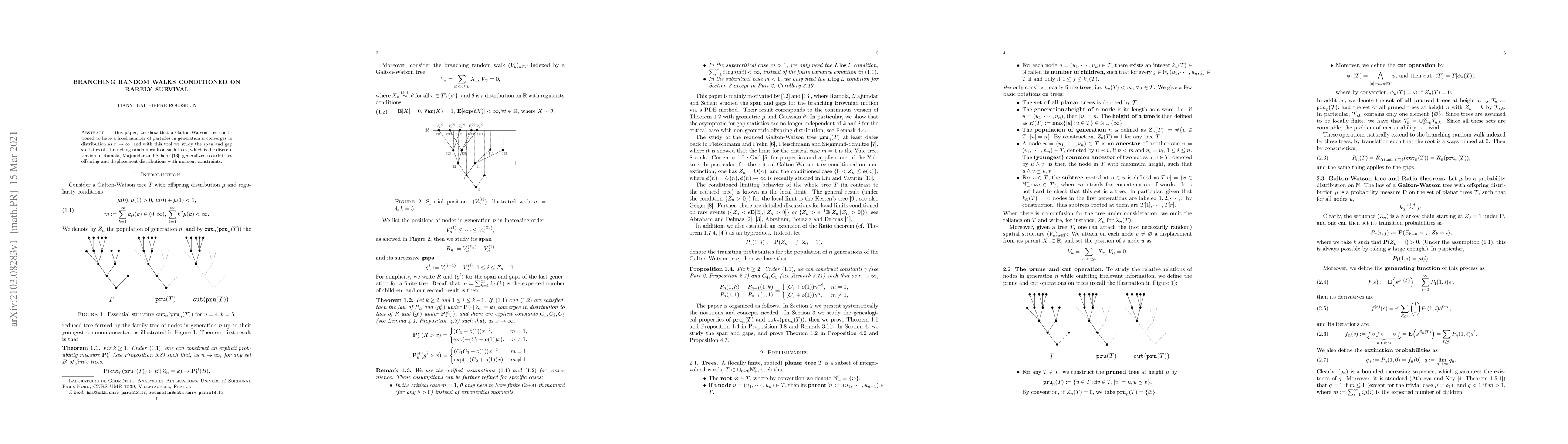 Thumbnail for Branching random walks conditioned on rarely survival