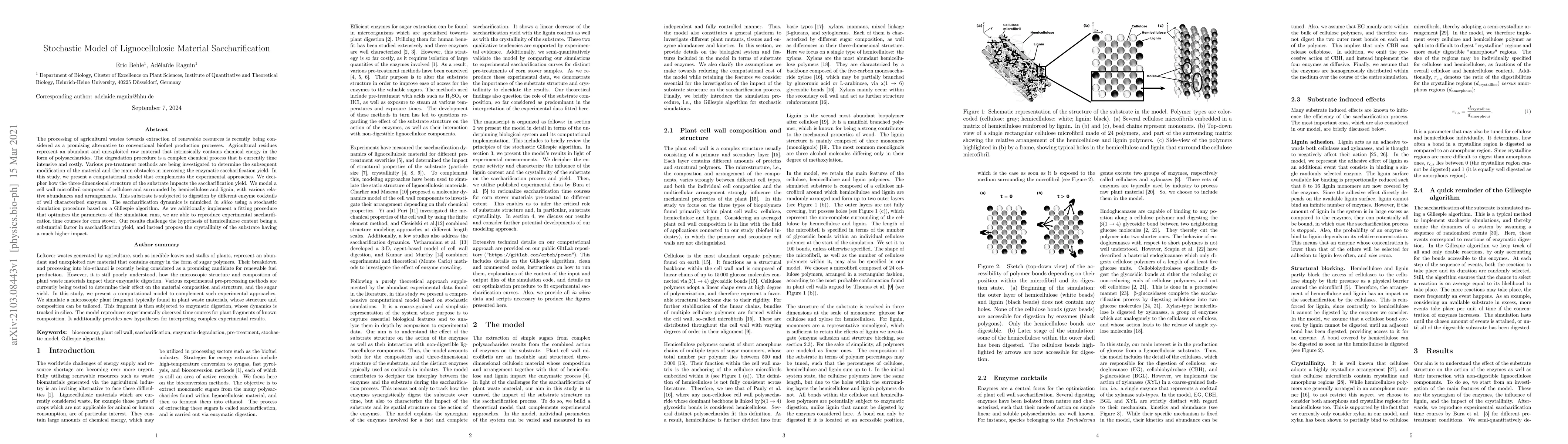 Thumbnail for Stochastic Model of Lignocellulosic Material Saccharification