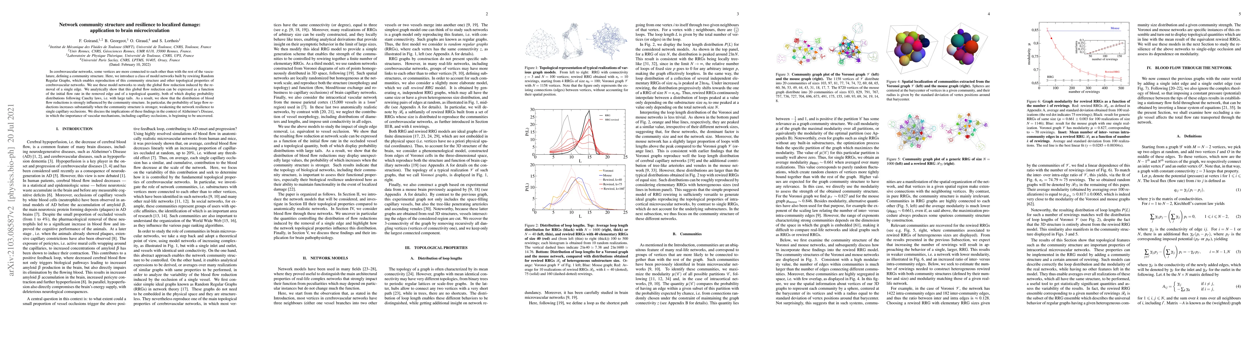 Thumbnail for Network community structure and resilience to localized damage:
  application to brain microcirculation