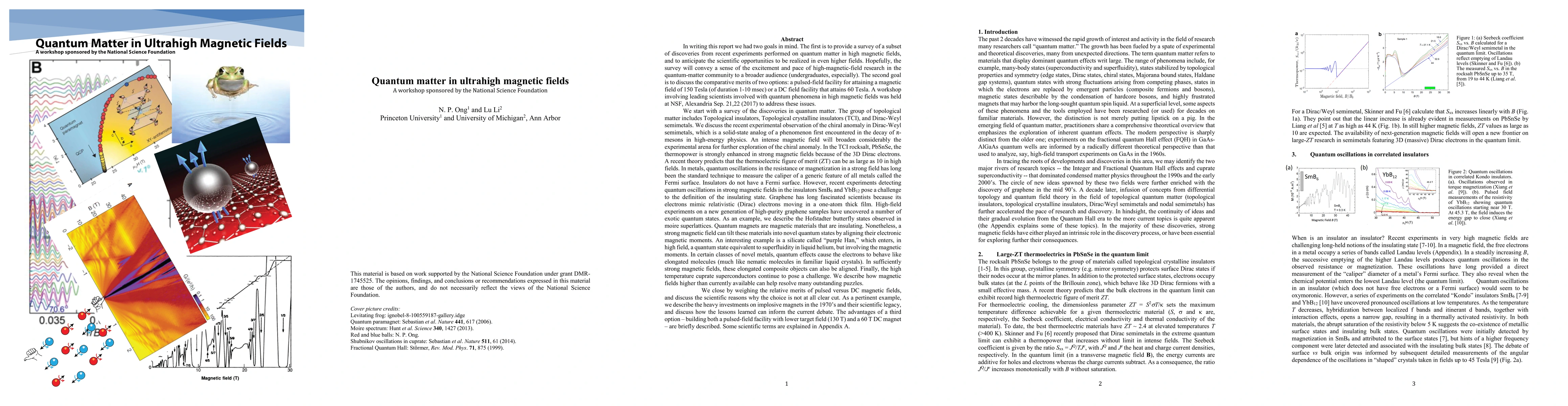 Thumbnail for Quantum matter in ultrahigh magnetic fields