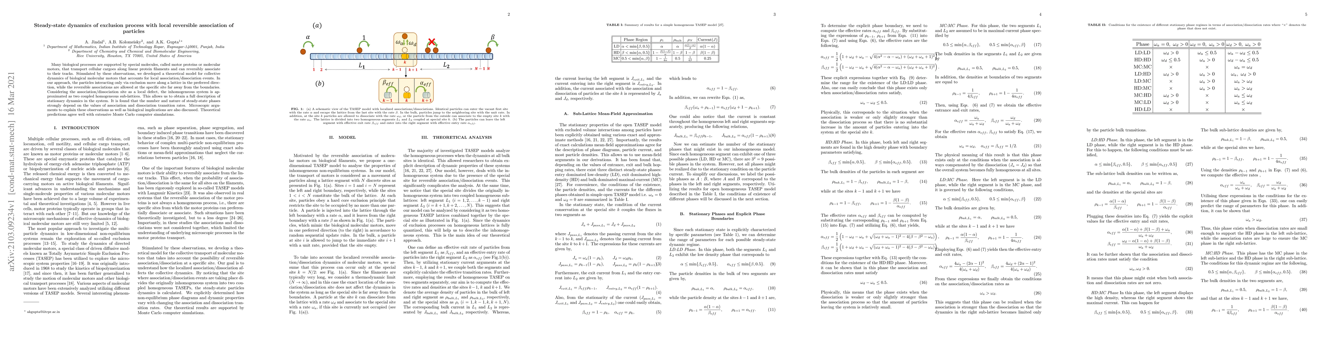 Thumbnail for Steady-state dynamics of exclusion process with local reversible
  association of particles