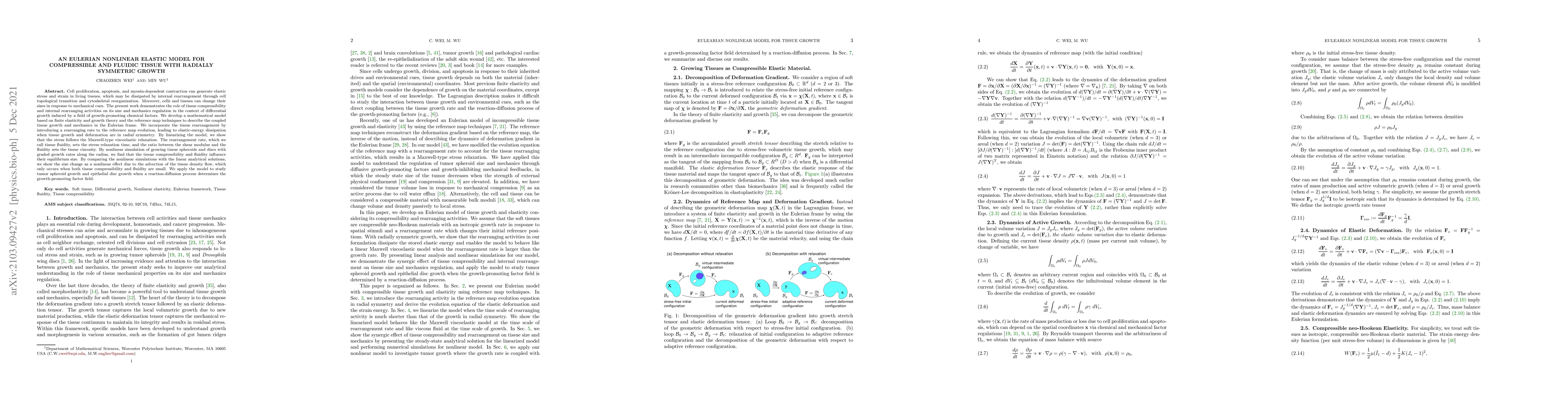 Thumbnail for An Eulerian nonlinear elastic model for compressible and fluidic tissue
  with radially symmetric growth