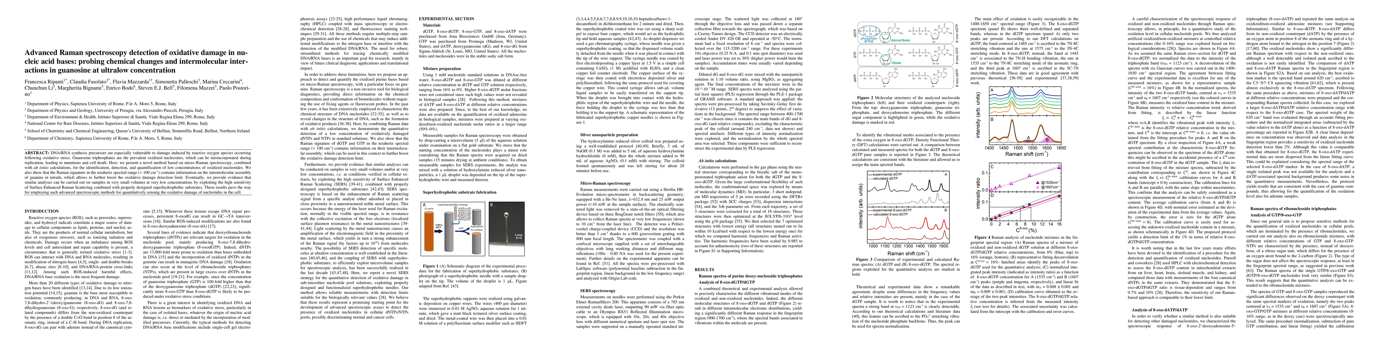 Thumbnail for Advanced Raman spectroscopy detection of oxidative damage in nucleic
  acid bases: probing chemical changes and intermolecular interactions in
  guanosine at ultralow concentration