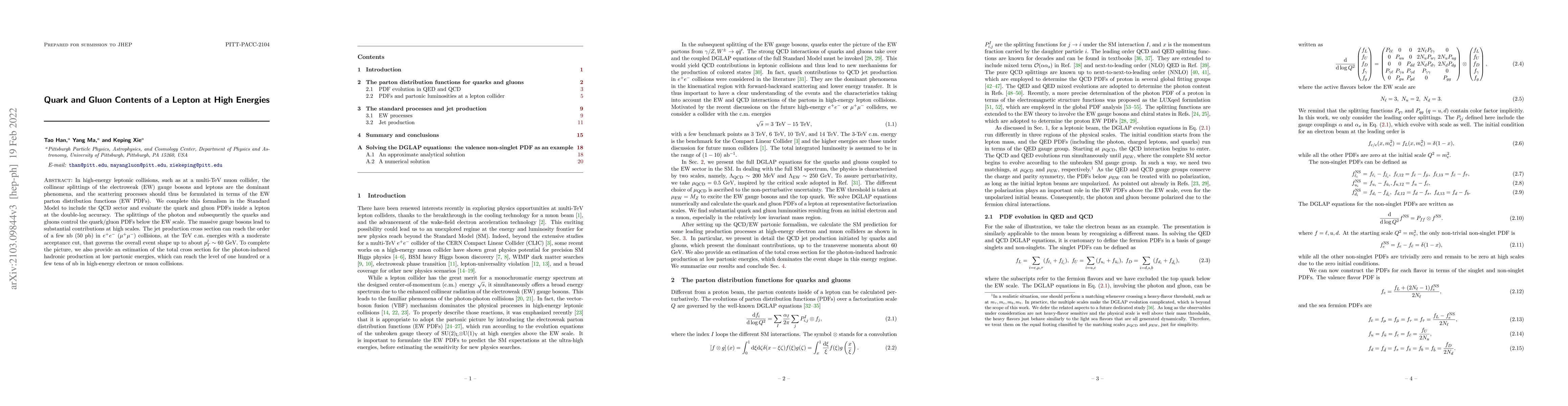 Thumbnail for Quark and Gluon Contents of a Lepton at High Energies