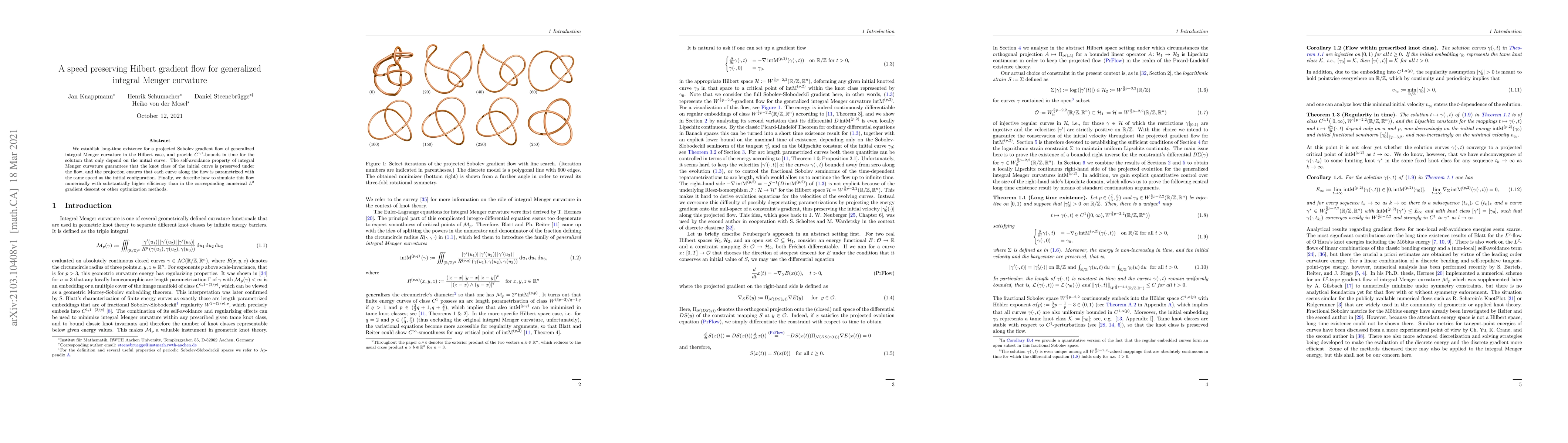 Thumbnail for A speed preserving Hilbert gradient flow for generalized integral Menger
  curvature