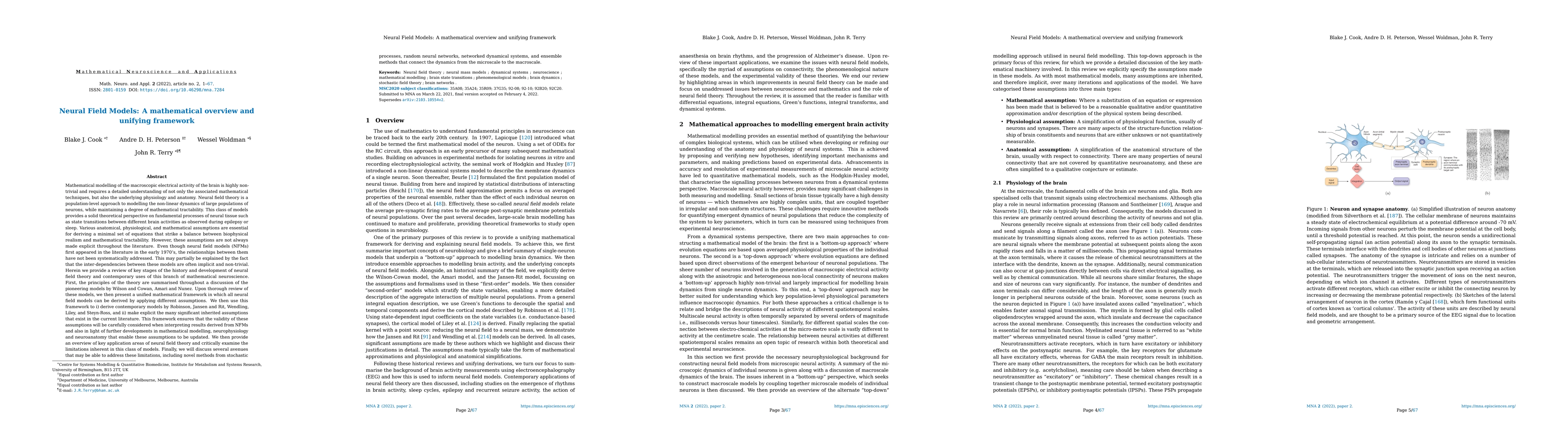 Thumbnail for Neural Field Models: A mathematical overview and unifying framework