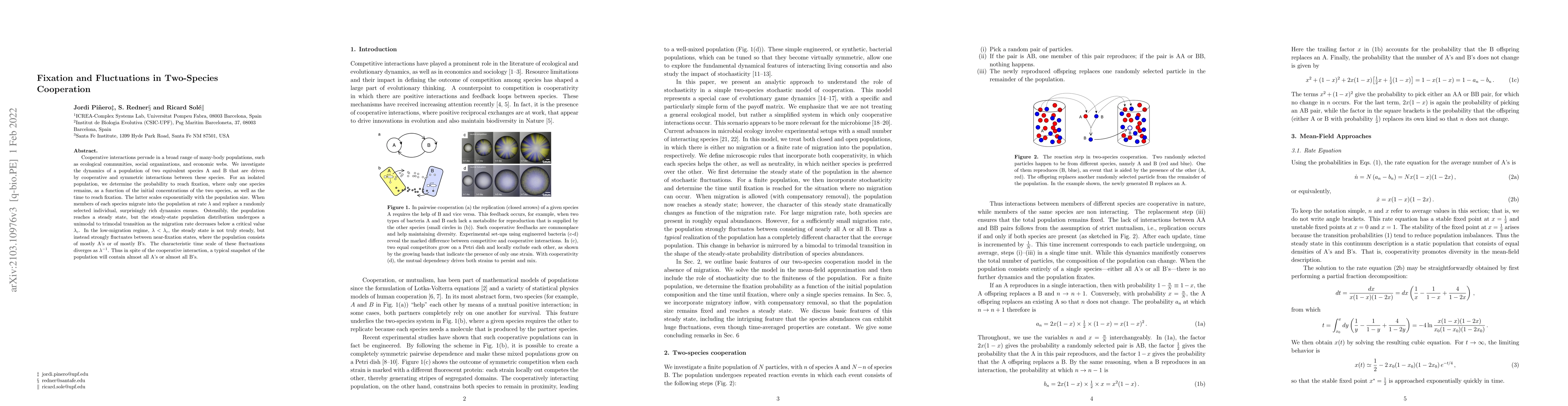 Thumbnail for Fixation and Fluctuations in Two-Species Cooperation