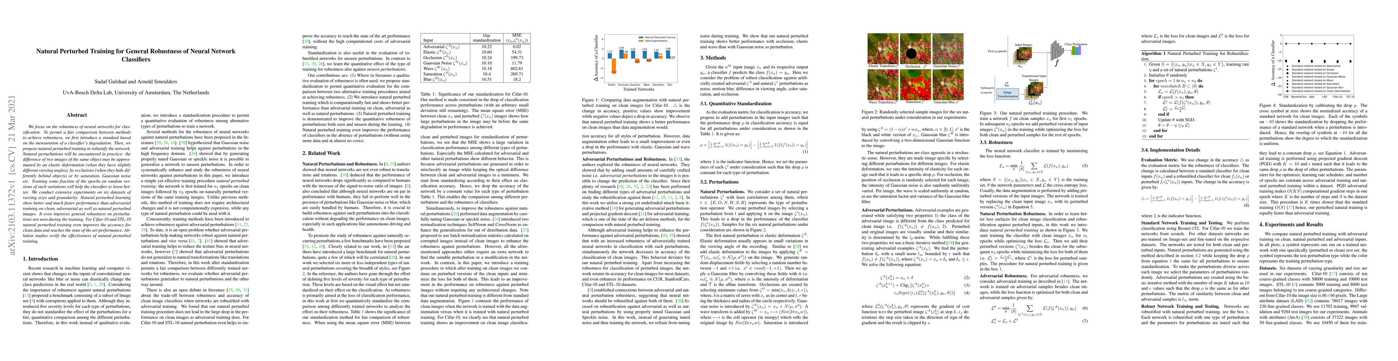Thumbnail for Natural Perturbed Training for General Robustness of Neural Network
  Classifiers