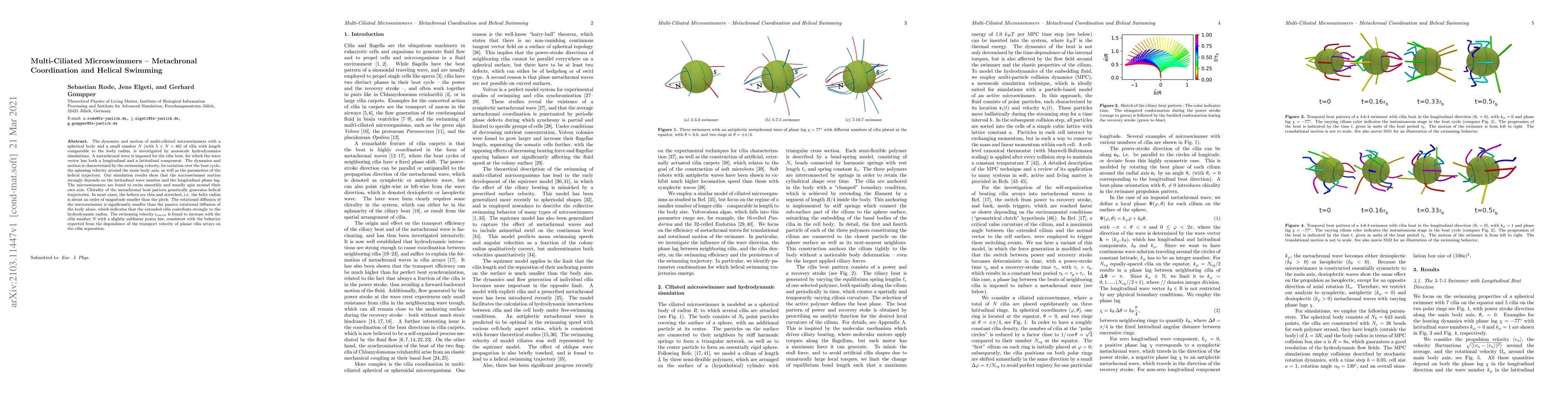 Thumbnail for Multi-Ciliated Microswimmers -- Metachronal Coordination and Helical
  Swimming