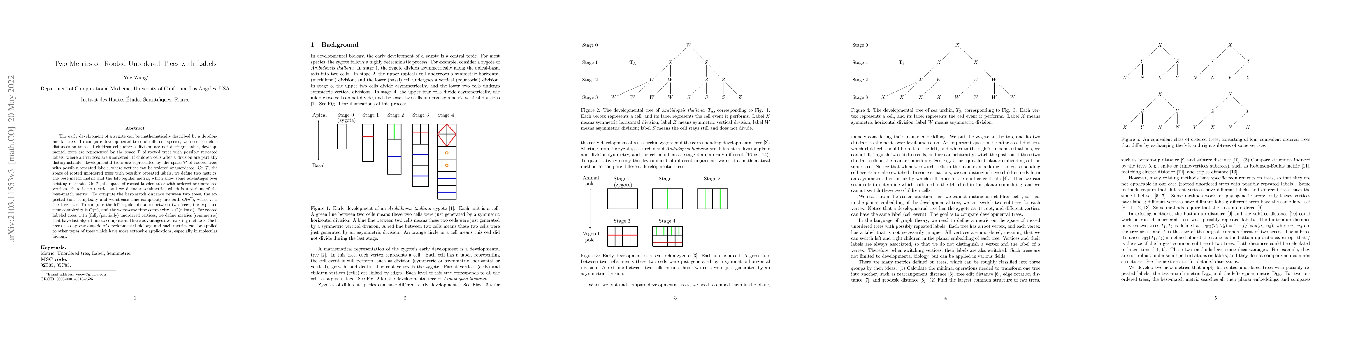 Thumbnail for Two Metrics on Rooted Unordered Trees with Labels