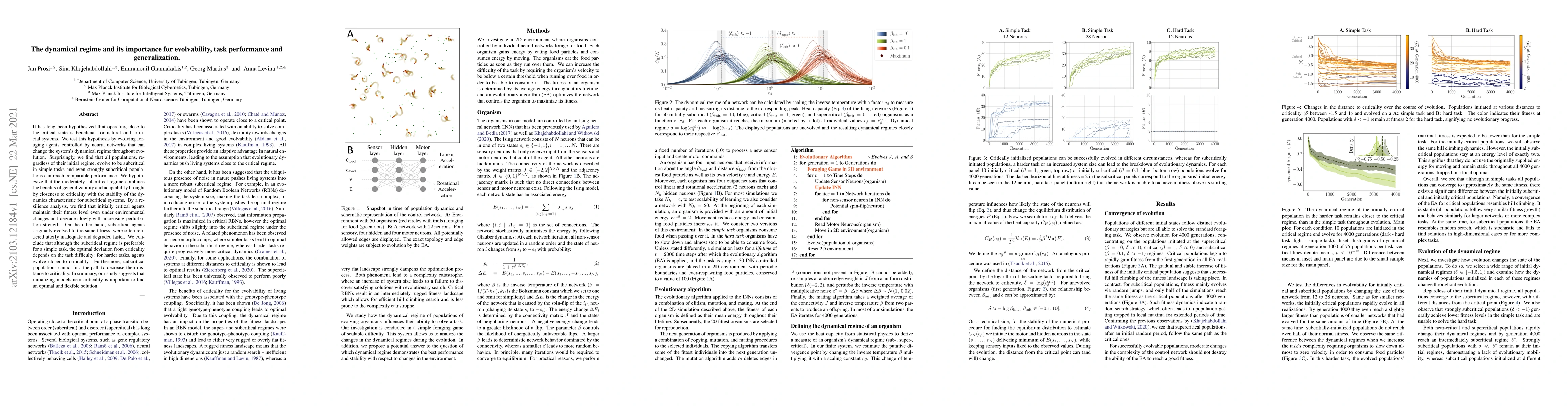 Thumbnail for The dynamical regime and its importance for evolvability, task
  performance and generalization
