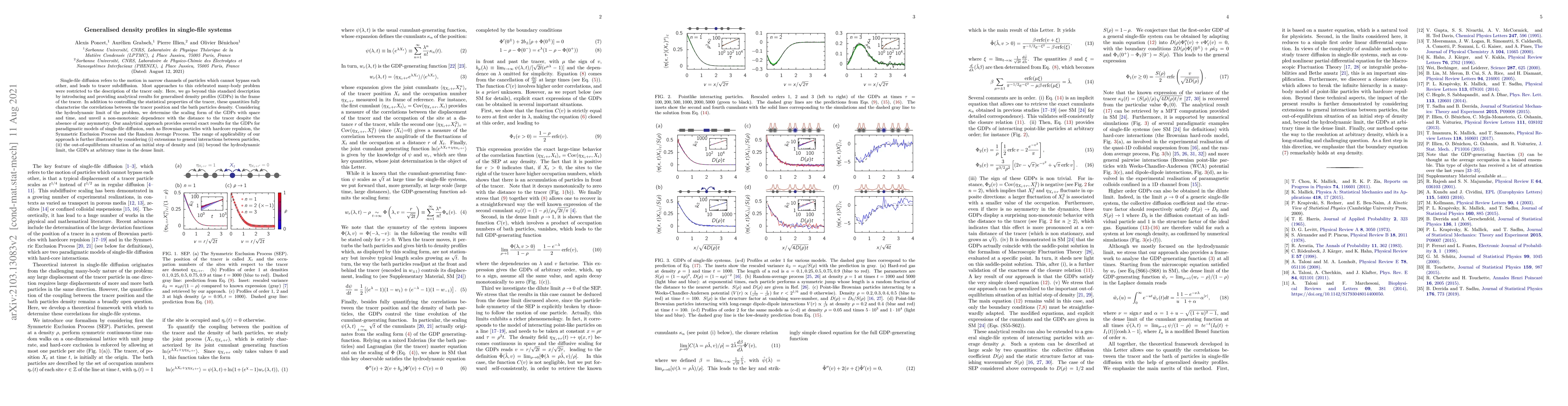 Thumbnail for Generalised density profiles in single-file systems