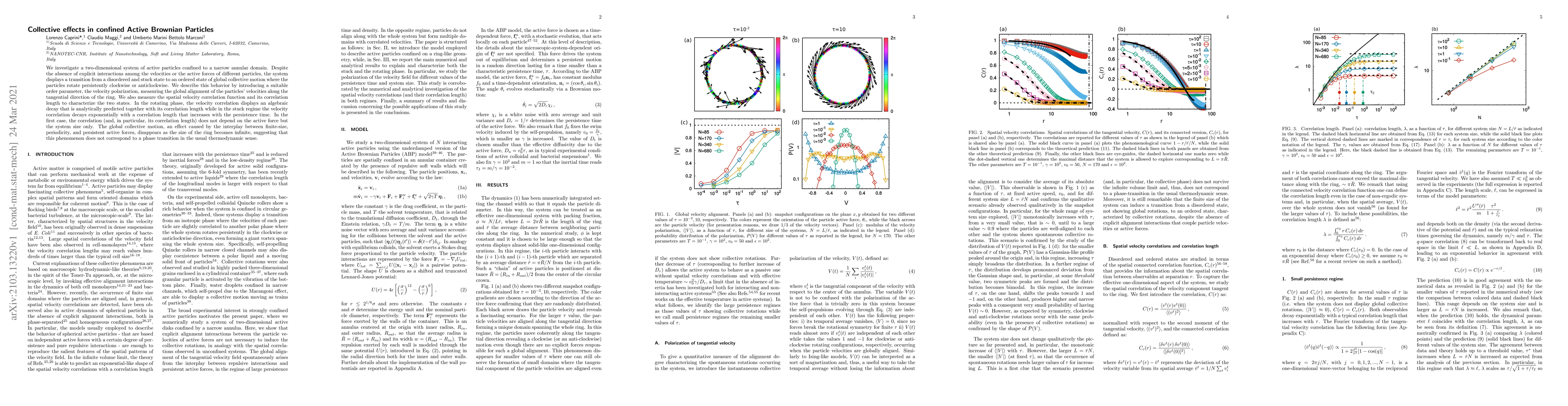 Thumbnail for Collective effects in confined Active Brownian Particles