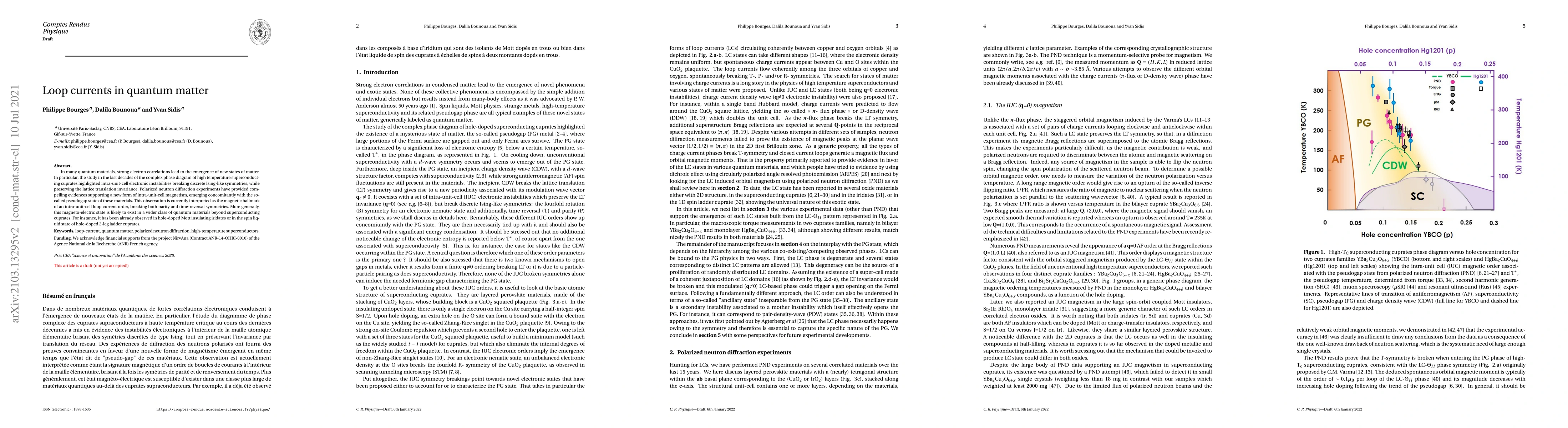 Thumbnail for Loop currents in quantum matter