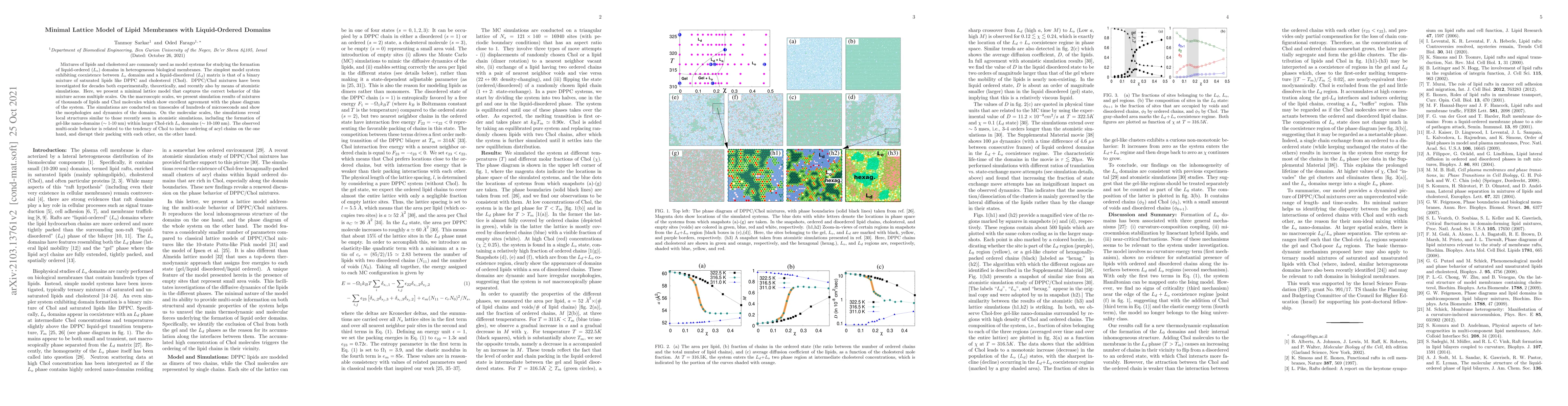 Thumbnail for Minimal Lattice Model of Lipid Membranes with Liquid-Ordered Domains