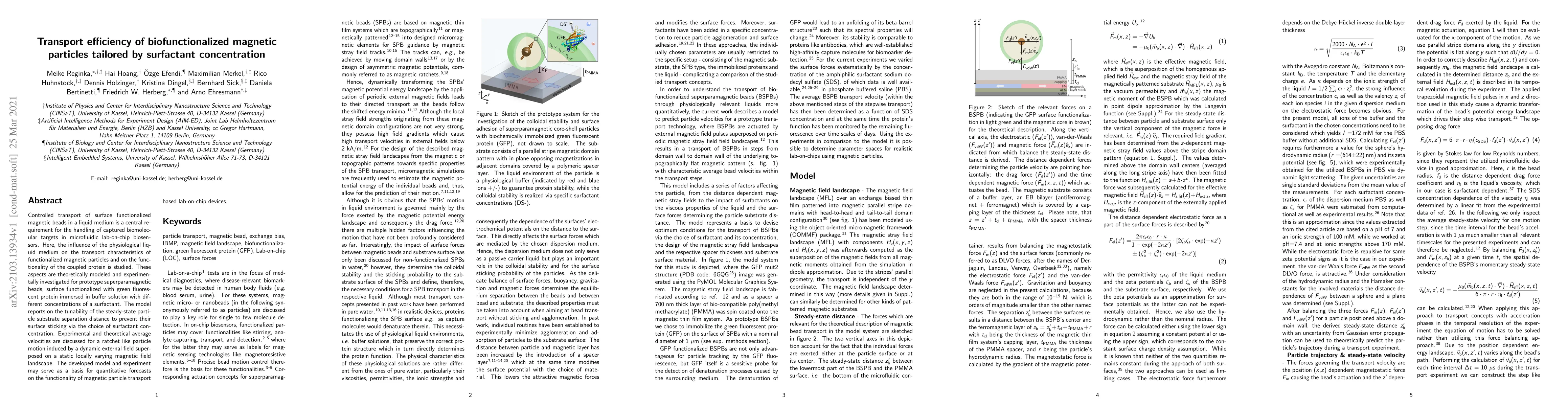 Thumbnail for Transport efficiency of biofunctionalized magnetic particles tailored by
  surfactant concentration