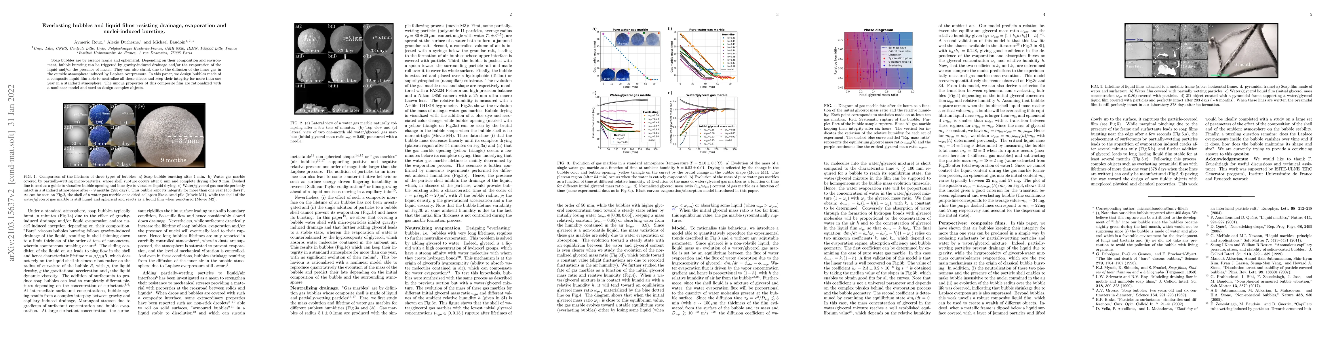 Thumbnail for Bubbles and liquid films resisting drainage, evaporation and
  nuclei-induced bursting