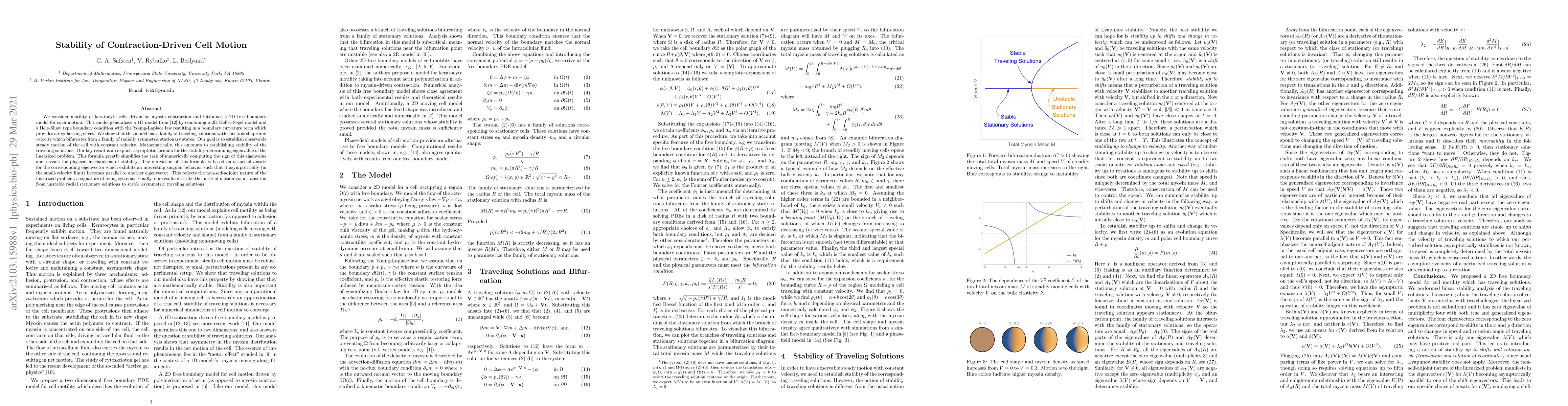 Thumbnail for Stability of Contraction-Driven Cell Motion