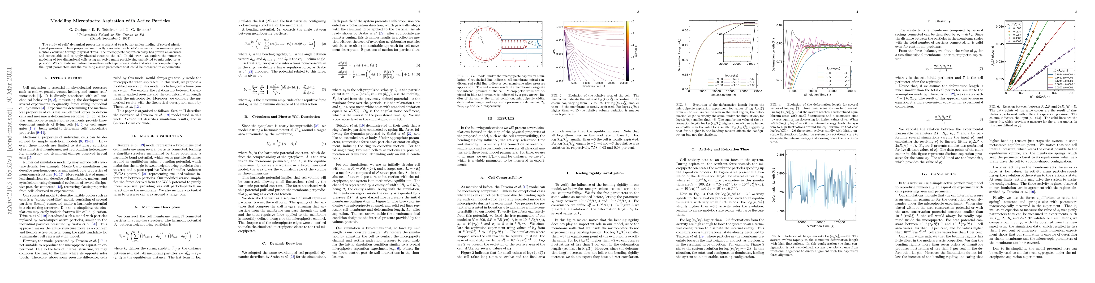 Thumbnail for Modelling Micropipette Aspiration with Active Particles