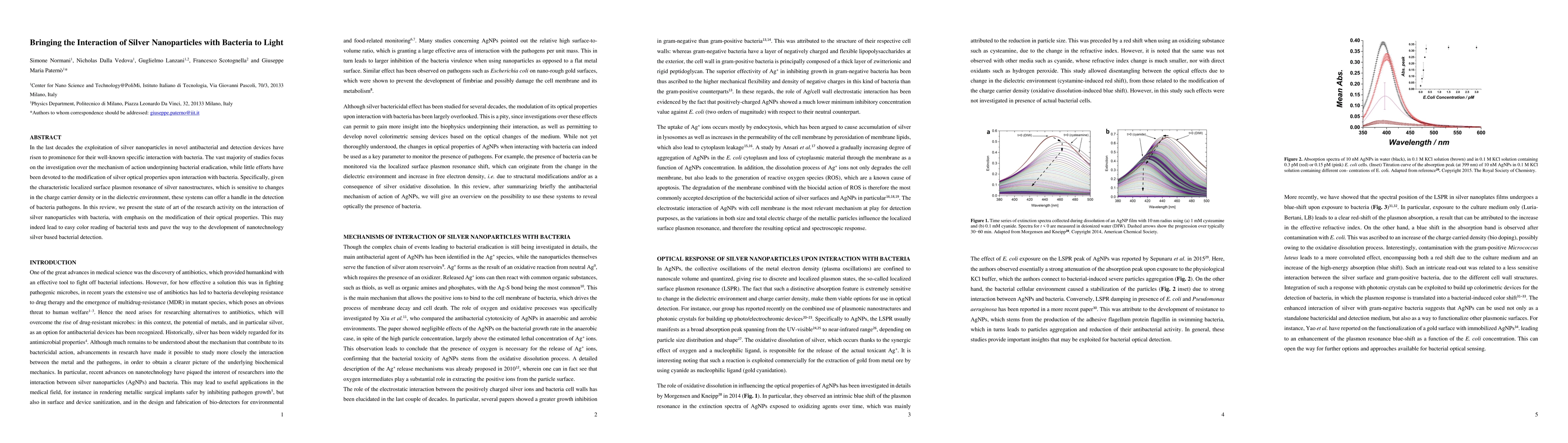 Thumbnail for Bringing the Interaction of Silver Nanoparticles with Bacteria to Light