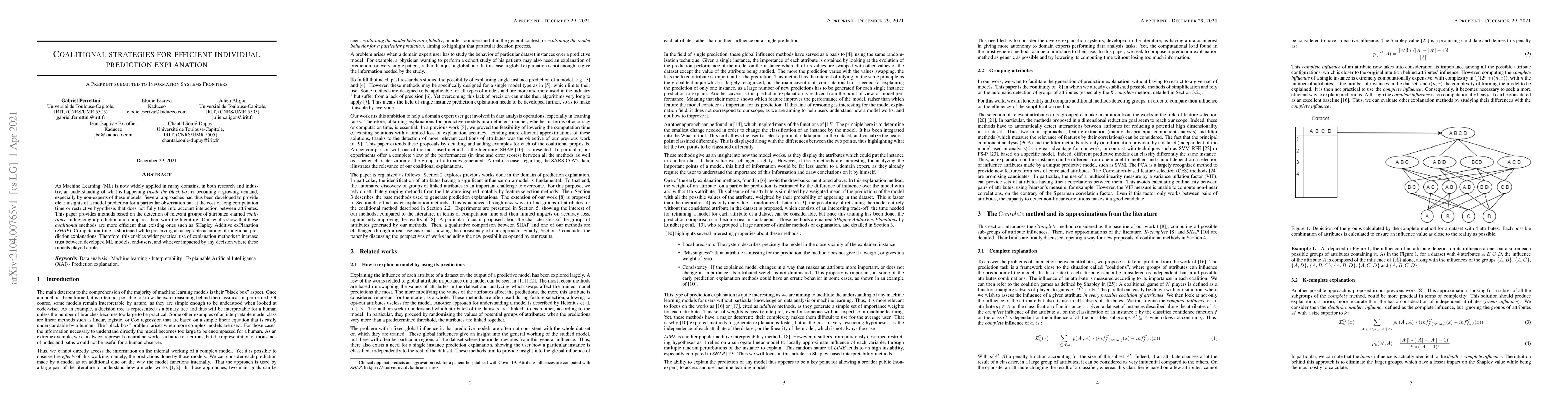 Thumbnail for Coalitional strategies for efficient individual prediction explanation