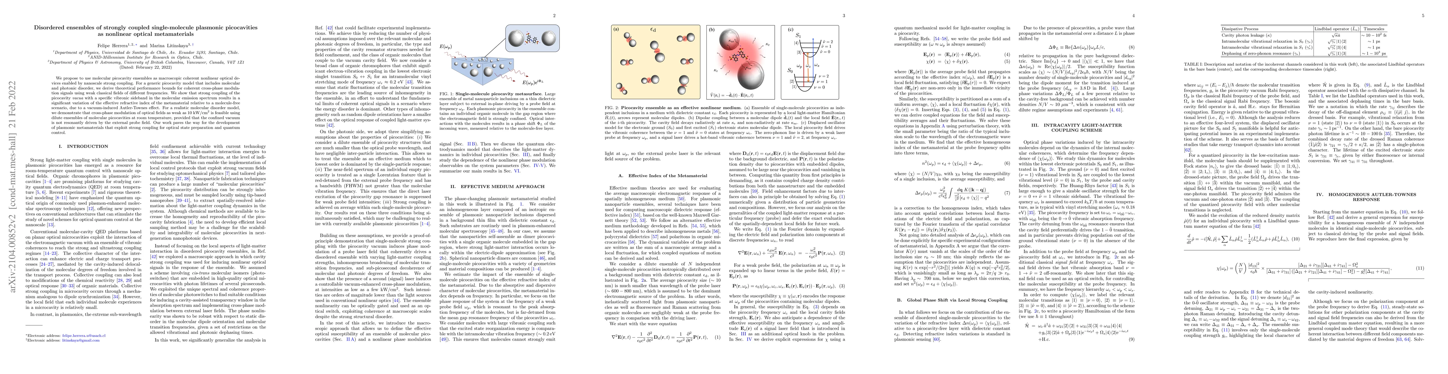 Thumbnail for Disordered ensembles of strongly coupled single-molecule plasmonic
  picocavities as nonlinear optical metamaterials