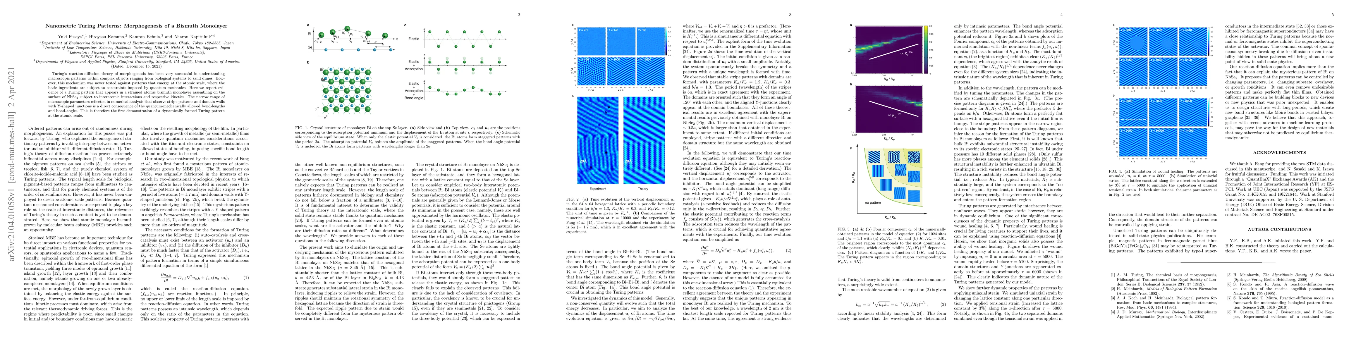 Thumbnail for Nanometric Turing Patterns: Morphogenesis of a Bismuth Monolayer